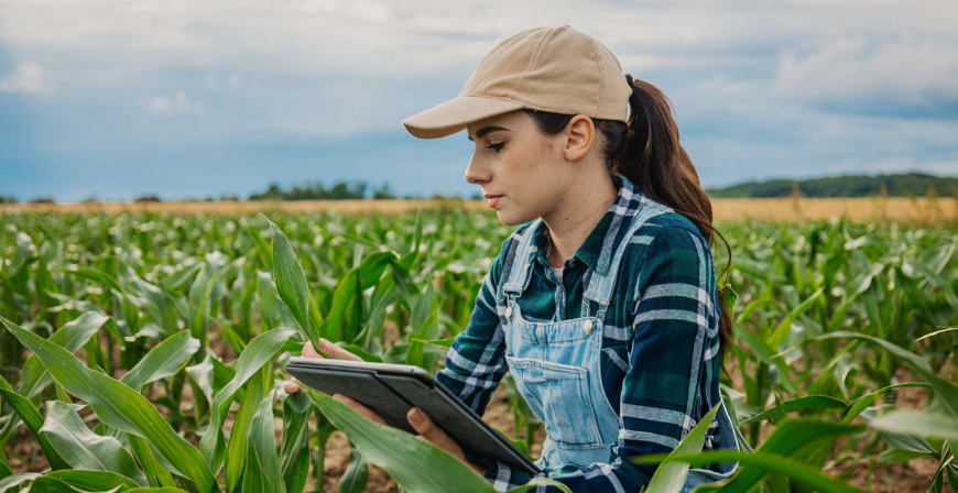 Rénovation D’Ampleur